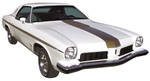 Photo represents subcategory: Body Stripes for 1969 Cutlass