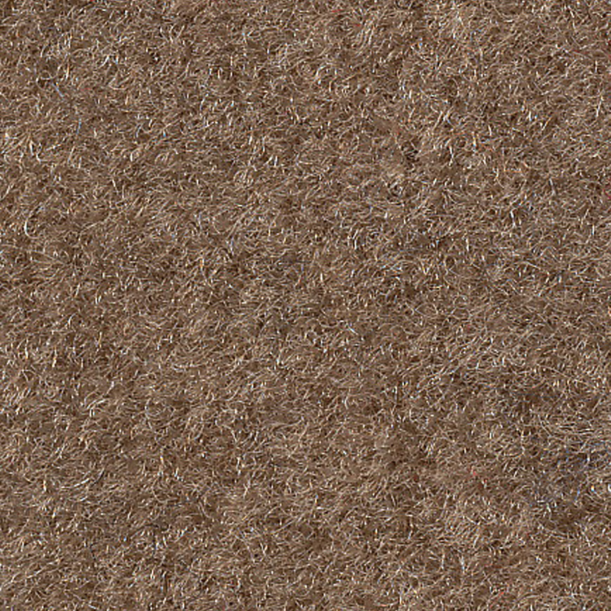 ACC Riviera Carpet, Premium Essex (1piece) Fits 196670 Riviera