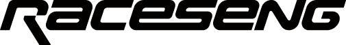 Raceseng logo