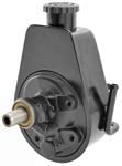 Pump, Power Steering, 1979-82 G-Body, 3.8L, New