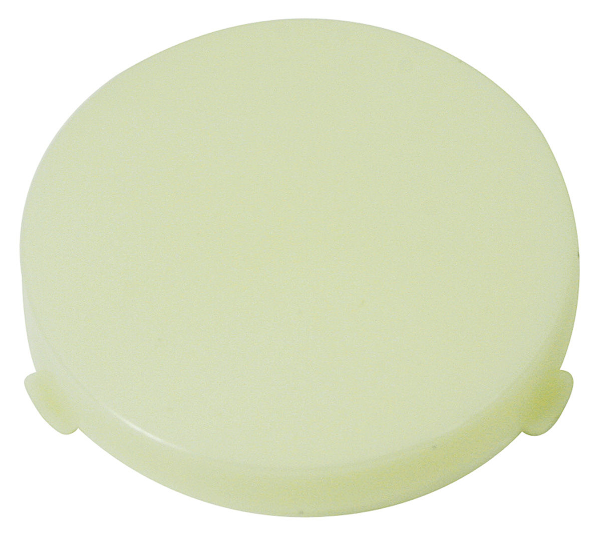 RESTOPARTS Lens, Dome/Courtesy Light, 195968 GM