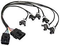 Wiring Harness, Fuel Injector, 1984-85 Regal