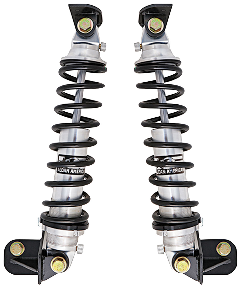 Coilovers, Double Adjustable, Rear, Aldan American, 197888 GBody, 220
