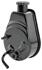 Pump, Power Steering, 1978-79 G-Body, Multi, New