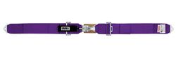Seat Belt, Individual, Crow, 3"