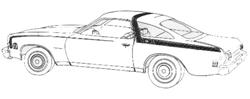 Decal, 73 Chevelle, Body Stripe, Roof/Beltline