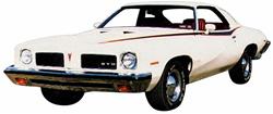 Decal, 73 GTO/LeMans, Body Stripe Kit